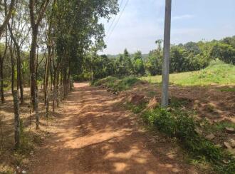 Residential Land for Sale in Kottayam, Pampady, Pampady