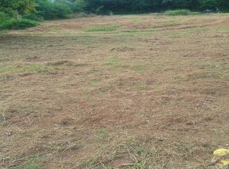 Residential Land for Sale in Palakkad, Kollengode, Thamarapadam, Seetharkundu