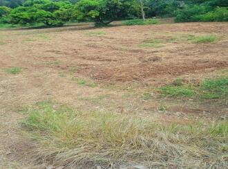 Residential Land for Sale in Palakkad, Kollengode, Thamarapadam, Seetharkundu