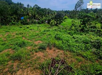 Residential Land for Sale in Ernakulam, Chottanikkara, Chottanikkara, Rajan kavala