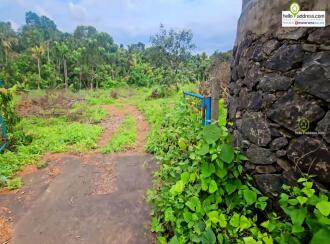 Residential Land for Sale in Ernakulam, Chottanikkara, Chottanikkara, Rajan kavala
