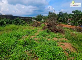 Residential Land for Sale in Ernakulam, Chottanikkara, Chottanikkara, Rajan kavala