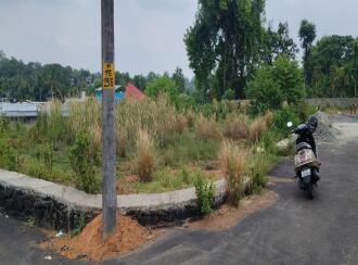Residential Land for Sale in Ernakulam, Chottanikkara, Eruveli, Palace square Jn
