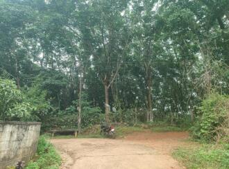 Commercial Land for Sale in Palakkad, Mannarkkad, Pallikurup, Chirakal padi- Mannarghat Road