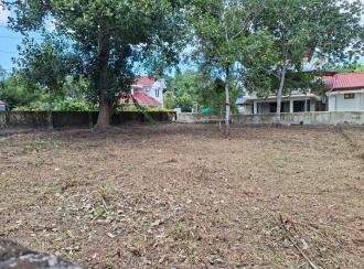 വാസയോഗ്യമായ ഭൂമി വില്പനയ്ക്ക് Pathanamthitta, Thiruvalla, Kizhakkanmuthoor, Bethelpadi