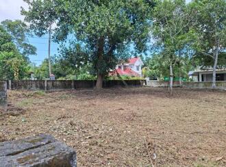 വാസയോഗ്യമായ ഭൂമി വില്പനയ്ക്ക് Pathanamthitta, Thiruvalla, Kizhakkanmuthoor, Bethelpadi