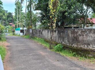 വാസയോഗ്യമായ ഭൂമി വില്പനയ്ക്ക് Pathanamthitta, Thiruvalla, Kizhakkanmuthoor, Bethelpadi