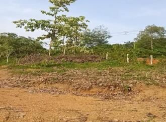 Residential Land for Sale in Pathanamthitta, Kozhencherry, Elakoloor, elanthoor