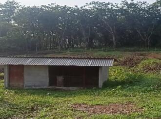 Residential Land for Sale in Pathanamthitta, Kozhencherry, Elakoloor, elanthoor