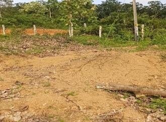 Residential Land for Sale in Pathanamthitta, Kozhencherry, Elakoloor, elanthoor