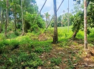 Residential Land for Sale in Thrissur, Mala, Puthenchira, 8/1 Vadama
