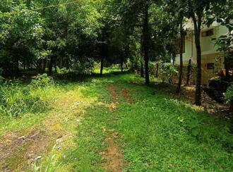 Residential Land for Sale in Thrissur, Mala, Puthenchira, 8/1 Vadama