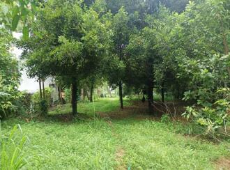 Residential Land for Sale in Thrissur, Mala, Puthenchira, 8/1 Vadama