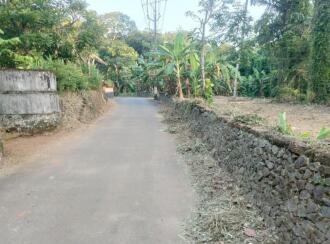 Residential Land for Sale in Kottayam, Manarcadu, Manarcadu, Manarcadu church
