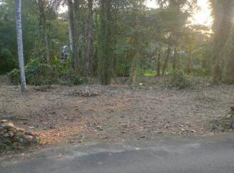 Residential Land for Sale in Kottayam, Manarcadu, Manarcadu, Manarcadu church