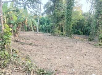 Residential Land for Sale in Kottayam, Manarcadu, Manarcadu, Manarcadu church