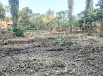 Residential Land for Sale in Kottayam, Manarcadu, Manarcadu, Manarcadu church
