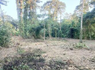 Residential Land for Sale in Kottayam, Manarcadu, Manarcadu, Manarcadu church