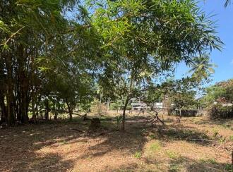 Residential Land for Sale in Kozhikode, Malaparamba , Medical college road, Vrindavan coloney malapparamba chevayur road