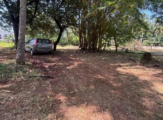 Residential Land for Sale in Kozhikode, Malaparamba , Medical college road, Vrindavan coloney malapparamba chevayur road