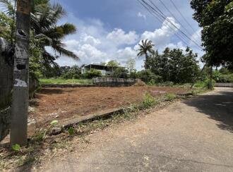 Residential Land for Sale in Thrissur, Chalakudy, Potta, Near Dhanya Hospital