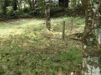 Residential Land for SaleKozhikode, Kunnamangalam, Kunnamangalam