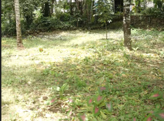 Residential Land for Sale in Kozhikode, Kunnamangalam, Kunnamangalam, Parappil Road