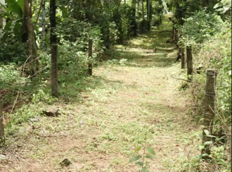 Residential Land for Sale in Kozhikode, Kunnamangalam, Kunnamangalam, Parappil Road