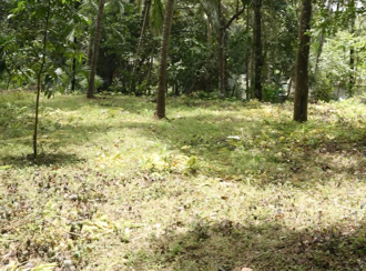Residential Land for Sale in Kozhikode, Kunnamangalam, Kunnamangalam, Parappil Road
