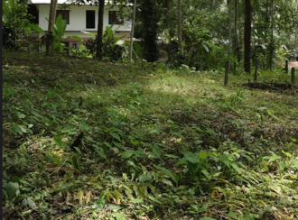 Residential Land for Sale in Kozhikode, Kunnamangalam, Kunnamangalam, Parappil Road