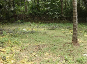 Residential Land for Sale in Kozhikode, Kunnamangalam, Kunnamangalam, Parappil Road