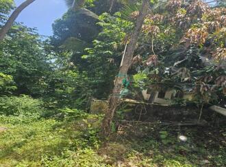 Residential Land for Sale in Palakkad, Ottappalam, Palappuram, Kendriya Vidyalaya Road