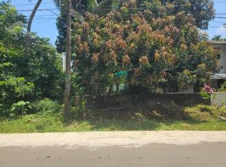 Residential Land for Sale in Palakkad, Ottappalam, Palappuram, Kendriya Vidyalaya Road