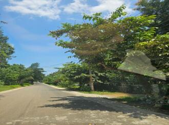 Residential Land for Sale in Palakkad, Ottappalam, Palappuram, Kendriya Vidyalaya Road
