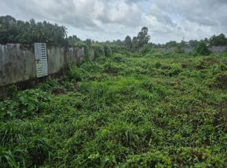 Residential Land for Sale in Palakkad, Kanjikode, Kanjikode, ktc junction, Lakshmi garden