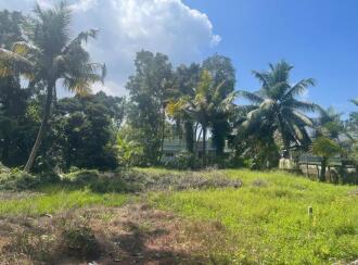 Residential Land for Sale in Alleppey, Ambalapuzha, Kakkazhom