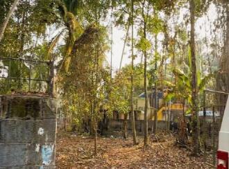 Residential Land for Sale in Trivandrum, Thiruvananthapuram, Kalady, KALADY SOUTH ROAD