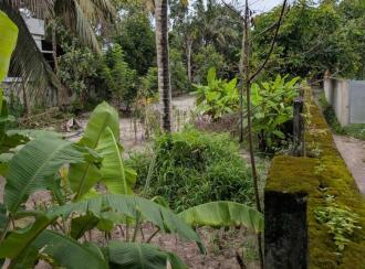 Residential Land for Sale in Alleppey, Alappuzha, Thumboli, near prividance hospital