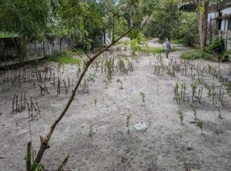 Residential Land for Sale in Alleppey, Alappuzha, Thumboli, near prividance hospital