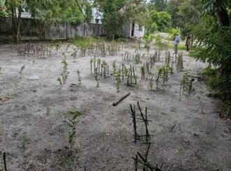 Residential Land for Sale in Alleppey, Alappuzha, Thumboli, near prividance hospital