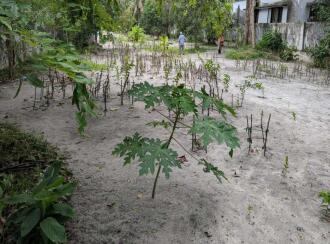 Residential Land for Sale in Alleppey, Alappuzha, Thumboli, near prividance hospital