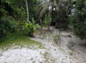 Residential Land for Sale in Alleppey, Alappuzha, Thumboli, near prividance hospital