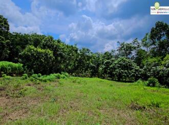 Residential Land for Sale in Kottayam, Pampady, South Pampady, Near Kallepuram bus stop ,on Pampady- Karukachal bus route