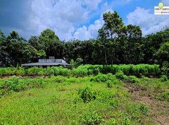 Residential Land for Sale in Kottayam, Pampady, South Pampady, Near Kallepuram bus stop ,on Pampady- Karukachal bus route