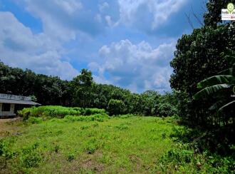 Residential Land for Sale in Kottayam, Pampady, South Pampady, Near Kallepuram bus stop ,on Pampady- Karukachal bus route