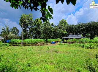 Residential Land for Sale in Kottayam, Pampady, South Pampady, Near Kallepuram bus stop ,on Pampady- Karukachal bus route