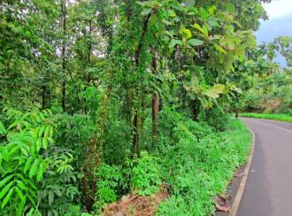 Agricultural Land for Sale in Pathanamthitta, Adoor, Athirunkal, C.M.U.P.S School
