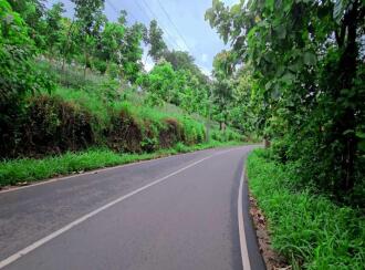 Agricultural Land for Sale in Pathanamthitta, Adoor, Athirunkal, C.M.U.P.S School