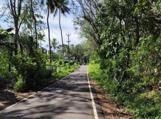 Residential Land for SaleKollam, Kottarakkara, Valakom