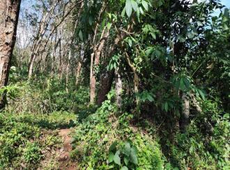 Residential Land for Sale in Kollam, Kottarakkara, Valakom, Ambalakara–Andoor Road